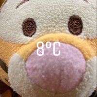 ゆき(@oharrrrrrra) 's Twitter Profile Photo