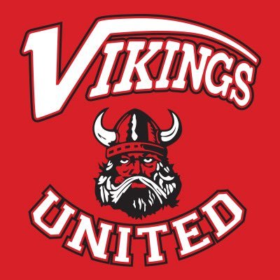 TEAM Up, NFP 501(c)3 | Home of Vikings United, a grassroots sports and life skills development program for grades 4 - 12 in Chicago’s Southland Region