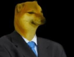 ritYes21's profile picture. bio