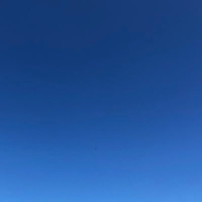 cityouwww's profile picture. 千葉工業大学経営情報科学科