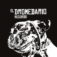 El Dromedario Records(@DromedarioRock) 's Twitter Profile Photo