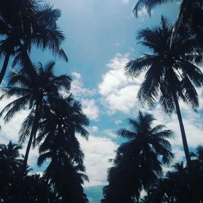 is_ffany's profile picture. Τнäиκ U Ĝöϑ for everything..,