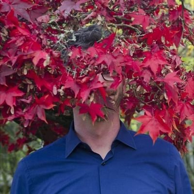 HeidrichVinzenz's profile picture.