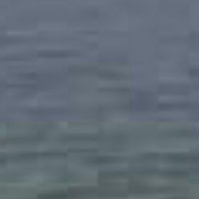 TacticalGasr088's profile picture. aspiring to be racist