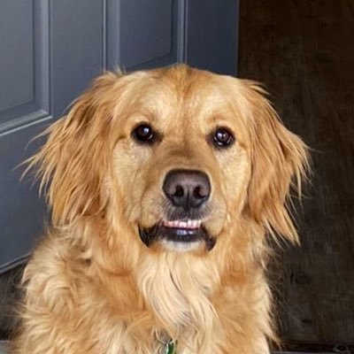 bixerpie Profile Picture