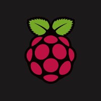 raspi-tweet (@raspitweet2) 's Twitter Profile
