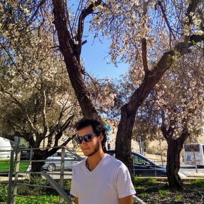 TomiRKN's profile picture. 