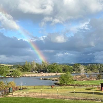 NonnaSdspenceis's profile picture. #OURrescue, Praise God, love my family, friends and Country!!