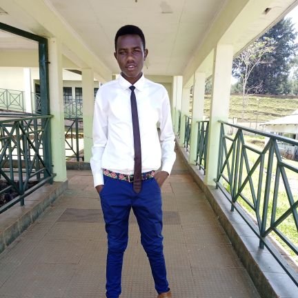 MogiaLepore's profile picture. My principles