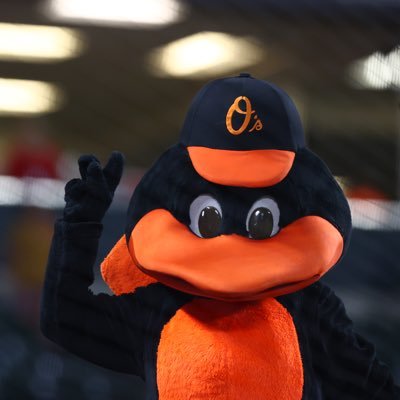 The Oriole Bird