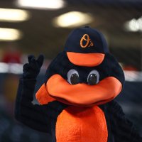 The Oriole Bird(@OrioleBird) 's Twitter Profile Photo