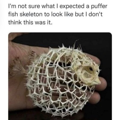 ShannonFallis's profile picture. 