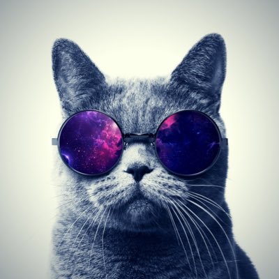 obq2468's profile picture. 