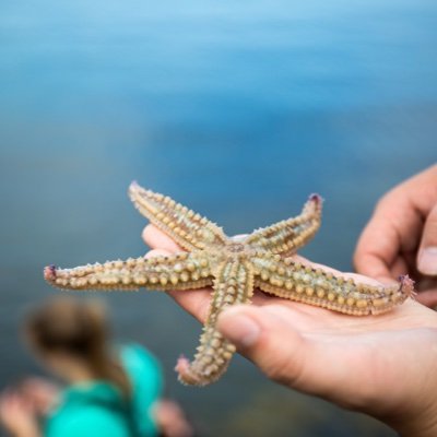 We are the #SDG14 Hub @ImpactUN and SDG14 Cluster Lead for @IAU_AIU. 🐟⚓️🌊 #OceanDecade #OceanLiteracy #ForOurOcean