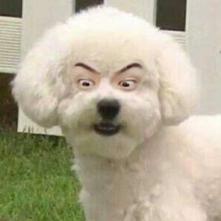 kntmch's profile picture. 𝒆𝒙𝒐𝒏𝒄𝒕 • 𝐼𝑁𝐹𝐽-𝑇