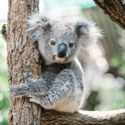 Cryptography & HPC - I bruteforce stuff. Usually quite quickly.
Solver of BTC67 and BTC68 (https://t.co/MWf2caA579)