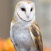 Steven Baca (@stevenb70518322) Twitter profile photo Steven Baca (@stevenb70518322) Twitter profile photo
