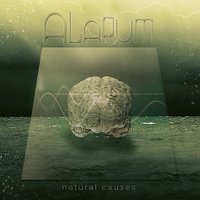Alarum Official (@alarumofficial) 's Twitter Profile