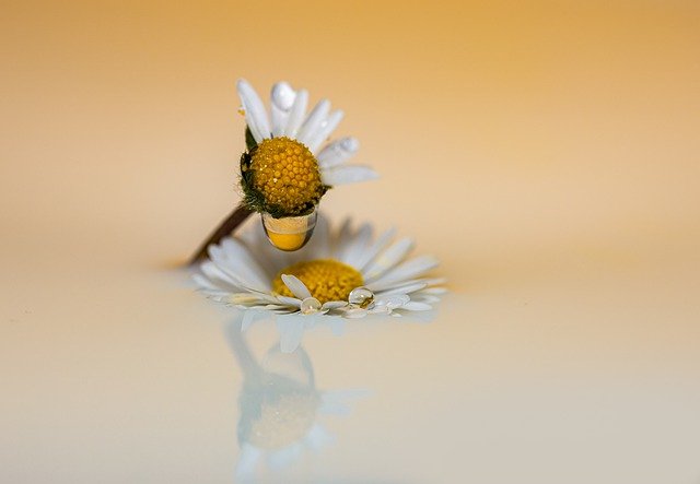 Hale99714865's profile picture. 