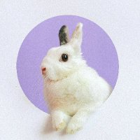 TweeterTot (@tweetertot10) 's Twitter Profile