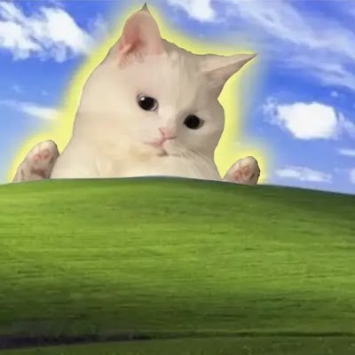 darenteobi's profile picture. 。