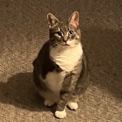 figsthetripod's profile picture. i am … Ms Figs 💅 onle 1 thing 2 say: i hav 3 leg but wos made 4 u 🧶