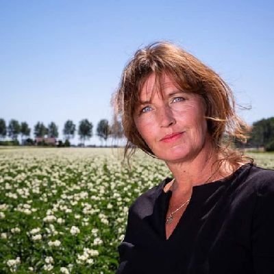 Its me, gemeente Haarlemmermeer, Raadslid HAP. Kan alles- doet alles- wil alles- is iemands alles.https://t.co/uliPM4VtKt