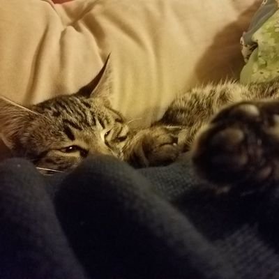 I'm a curious guy in my 30s, finding my way through life
18+