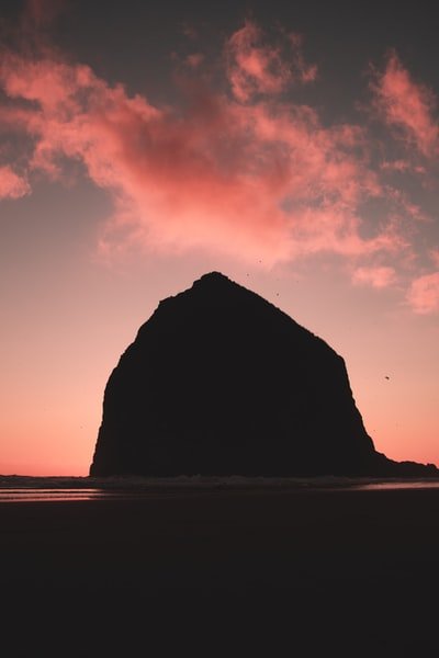 Cihannu92105528's profile picture. 