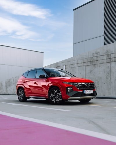 ReyhanYiitolu1's profile picture. 