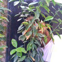 Ali.tahrir (@alitahrir3) 's Twitter Profile