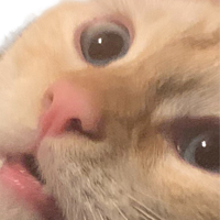 some_laptop's profile picture. a few people watch me play games