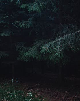 Gazel47879955's profile picture. 