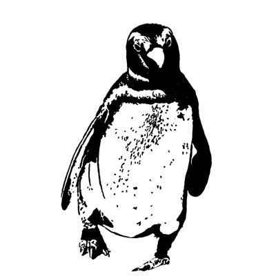 3vilp3nguin's profile picture. Digital Marketing & Publishing