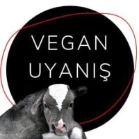 Vegan Uyanış(@veganuyanis) 's Twitter Profile Photo