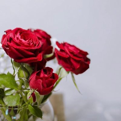 Pink__133's profile picture. 