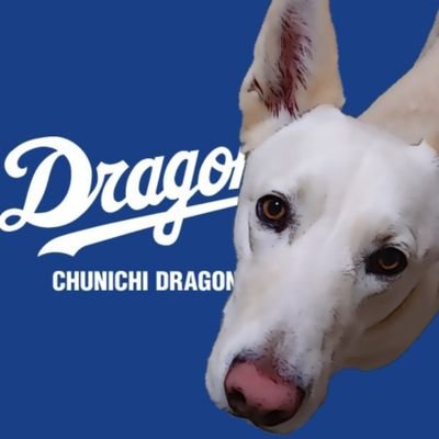 ドラゴンズファンはもちろんですが、野球大好きなので12球団歓迎します🎉
無言フォロー失礼します🙇♂️
私のフォローはご自由に🥳🥳🥳
ラジオ📻️も大好き😘
#中日ドラゴンズ
