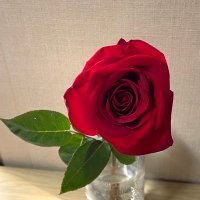 春馬くんのお誕生日ツイート🌹&偲ぶツイート🌻 (@haruma_birthday) Twitter profile photo