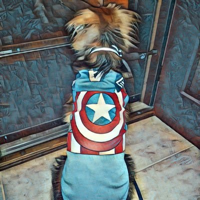 rharp86's profile picture. 