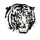 tigerdenNFT (@tigerdennft) 's Twitter Profile Photo tigerdenNFT (@tigerdennft) 's Twitter Profile Photo