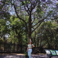 Daniela Saucillo (@danielasaucill3) 's Twitter Profile