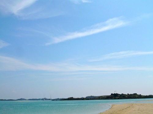 agesu's profile picture. 