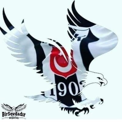 SeyhanAvil3's profile picture. 