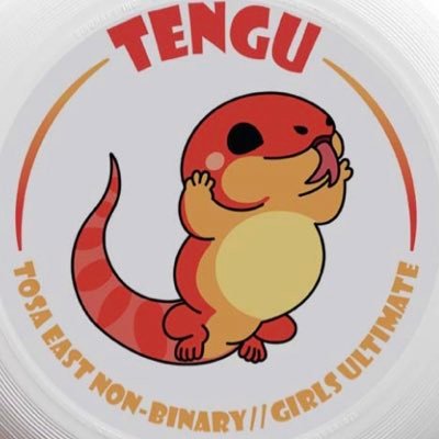 TENGU Profile