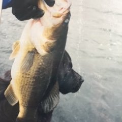 Daluge3's profile picture. Grumpy old man unencumbered by the thought process. Cynical, skeptical, sarcastic.  Third Amendment absolutist.