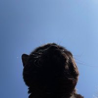 kobayashi (@hikaru_k163) Twitter profile photo