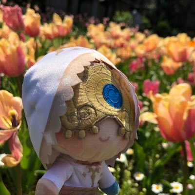みかんさんのプロフィール画像