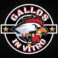 Gallos In Vitro (@gallosvitro) 's Twitter Profile