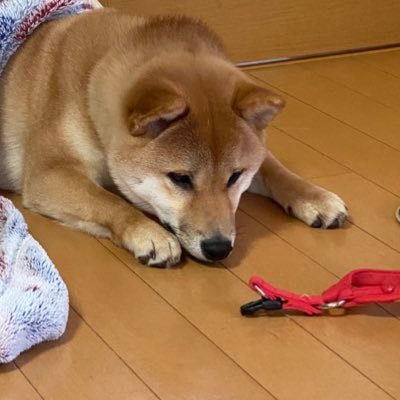 あなるさんのプロフィール画像