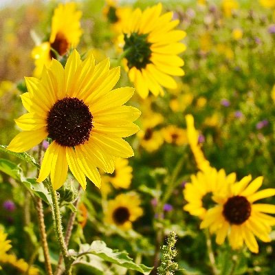 writingincanada's profile picture. Writer. Photographer. Twitterer.